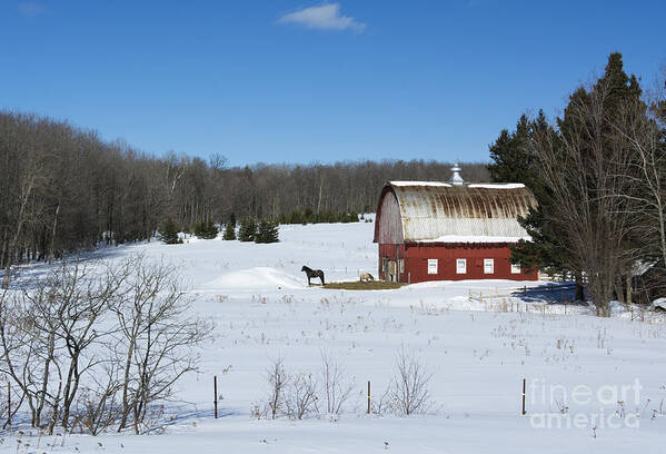 Americana Art Print featuring the photograph an American Frozen Pasture by Dan Hefle