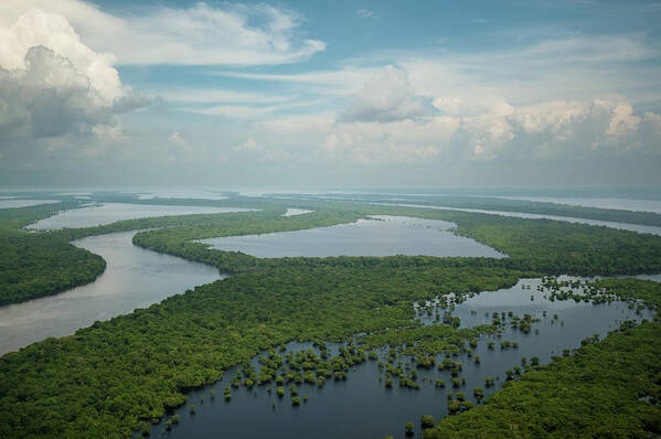 Archipelago Art Print featuring the photograph Anavilhanas Archipelago by Andre Pinto