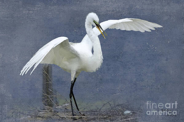 Great Egret Art Print featuring the photograph Angel Wings by Betty LaRue