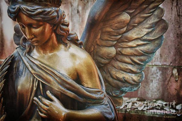 Angelic Contemplation Art Print featuring the photograph Angelic Contemplation by Terry Rowe
