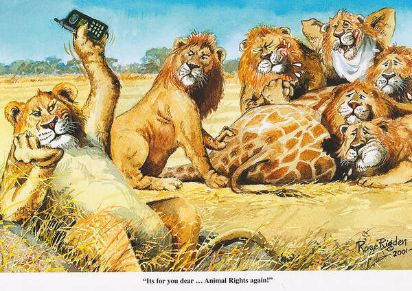 Animal rights Art Print by Rose Rigden - Pixels