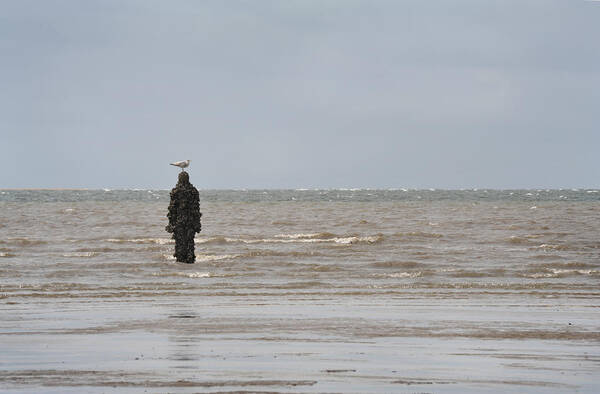 Sculpture Art Print featuring the photograph Another Place Gormley Crosby by Jerry Daniel