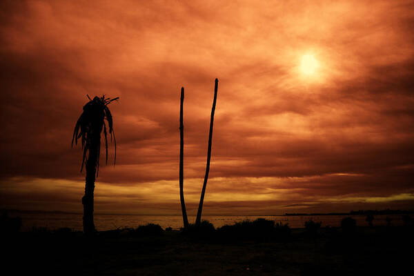 Salton Sea Art Print featuring the photograph Apocalypse Nowish by Mike Trueblood