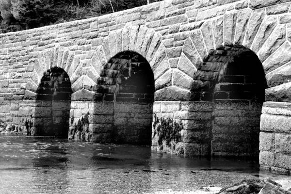 Mountains Art Print featuring the photograph Arches by Greg Fortier