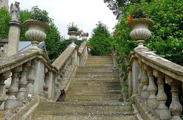 Stair Art Print featuring the photograph Ascending Garden by Denise Mazzocco