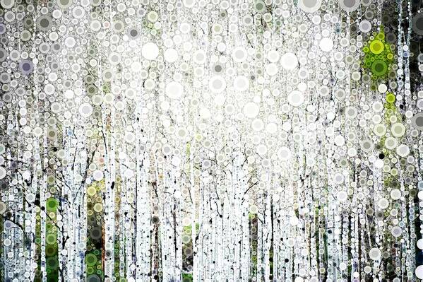 Aspen Art Print featuring the digital art Aspens in the Spring by Linda Bailey