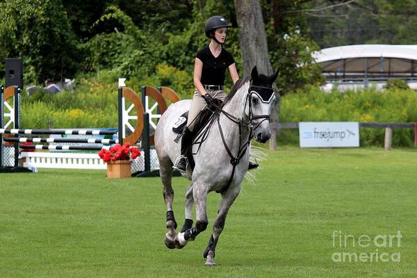 Horse Art Print featuring the photograph At-c-jumper49 by Janice Byer