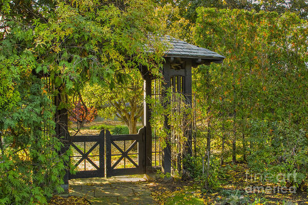 Autumn Gardens Art Print featuring the photograph At Woodland's Edge by Marilyn Cornwell