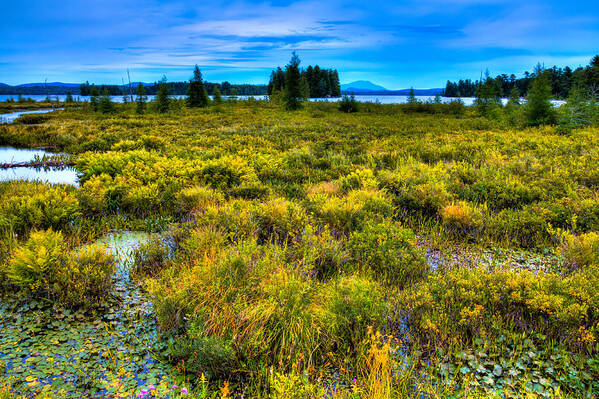 Adirondack's Art Print featuring the photograph August on Raquette Lake by David Patterson