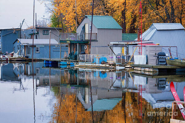 mississippi River Boathouses latsch Island winona Minnesota winona Mn Photos winona Boathouses latsch Island Photos latsch Island Boathouses latsch Island Boat House Art Print featuring the photograph Autumn at Latsch Island II by Kari Yearous
