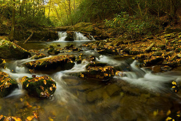 Landscape Art Print featuring the photograph Autumn by the creek. by Ulrich Burkhalter