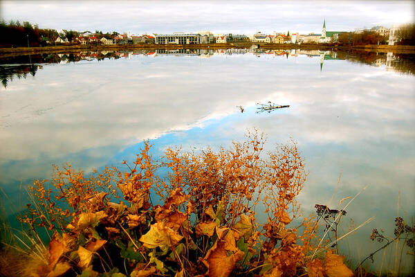 Reykjavik City Art Print featuring the photograph Autumn Ice by HweeYen Ong