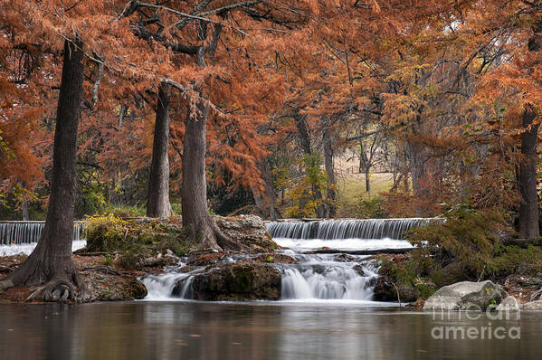Hunt Art Print featuring the photograph Autumn Idyll by Bob Phillips