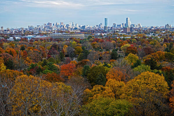 Boston Art Print featuring the photograph Autumn in Boston by Toby McGuire