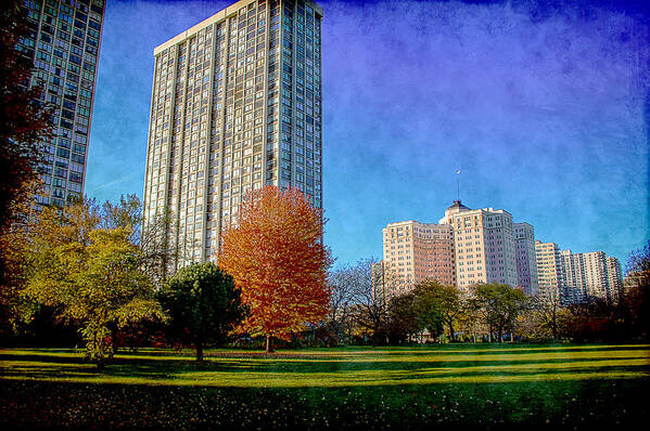 Trees Art Print featuring the photograph Autumn in Edgewater by Milena Ilieva