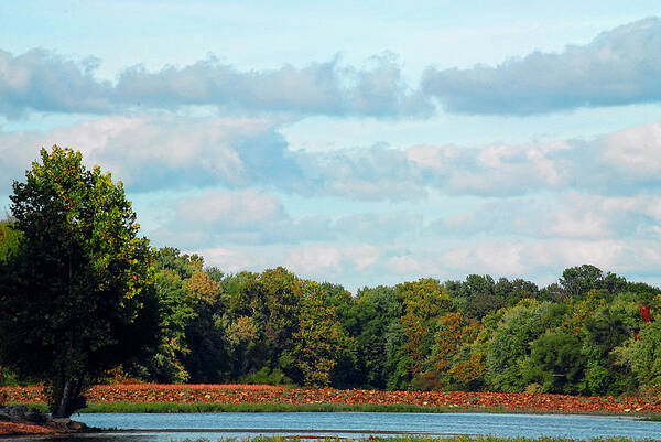 Landscape Art Print featuring the photograph Autumn Lake by Lena Wilhite