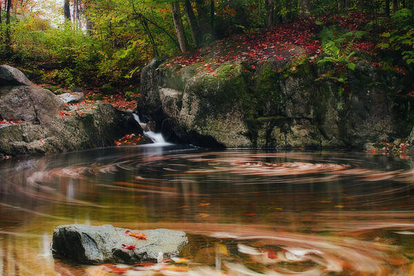 Autumn Art Print featuring the photograph Autumn Leaf Trails by John Vose