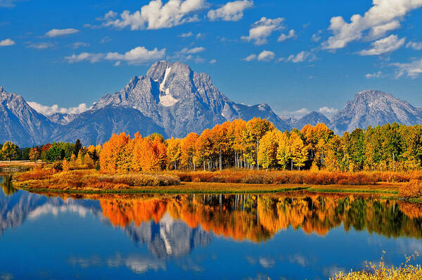 Oxbow Bend Art Print featuring the photograph Autumn Peak at Oxbow Bend by Greg Norrell
