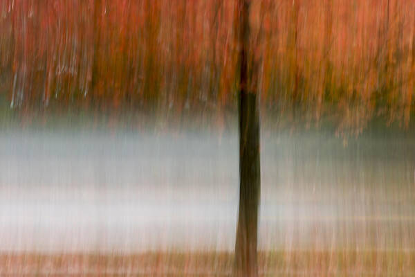 Autumn Rain Art Print featuring the photograph Autumn Rain by Terry DeLuco