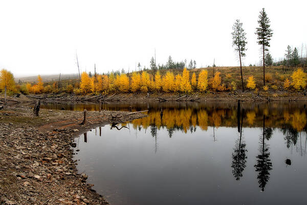 Reflections Art Print featuring the photograph Autumn Reflection Pair by Allan Van Gasbeck