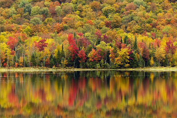 Autumn Art Print featuring the photograph Autumn Reflections by John Vose
