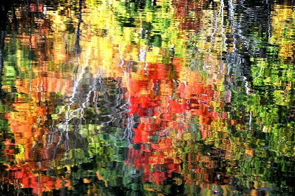 Autumn Photographs Art Print featuring the photograph Autumn Reflections by Phyllis Meinke