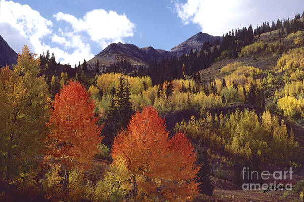 Mountains Art Print featuring the photograph Autumn Splendor by Bon and Jim Fillpot