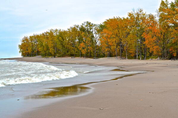 Autumn Art Print featuring the photograph Autumn Tides by Frozen in Time Fine Art Photography