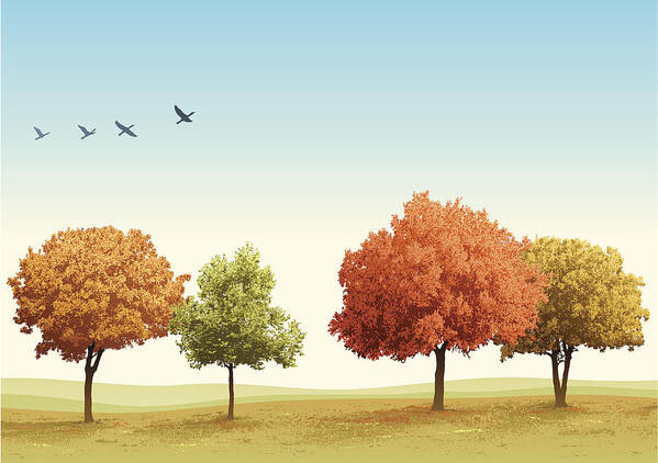 Scenics Art Print featuring the drawing Autumn Trees by Edge69