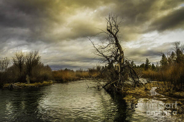 Autumn Winds Art Print featuring the photograph Autumn Winds by Mitch Shindelbower