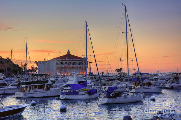 Avalon Art Print featuring the photograph Avalon Casino at Sunset by Eddie Yerkish