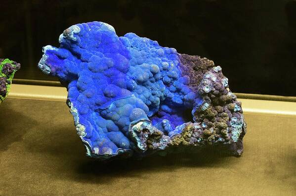 Azurite Art Print featuring the photograph Azurite Sample by Mark Williamson/science Photo Library