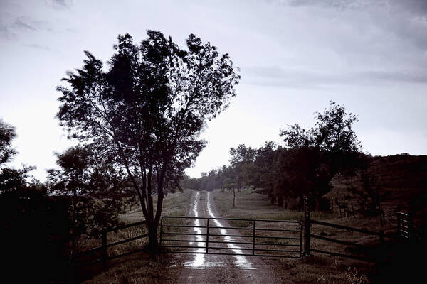 Road Art Print featuring the photograph Back Country Road And Then The Rain Came by James BO Insogna