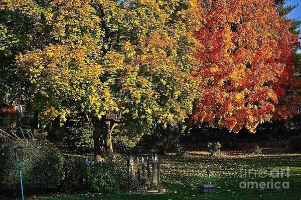 Autumn Art Print featuring the photograph Backyard Morning in the Fall by Frank J Casella