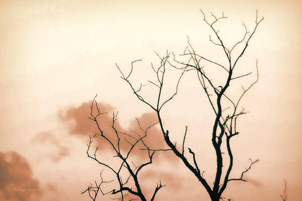 Monochrome Art Print featuring the photograph Bare Limbs by Denise Romano