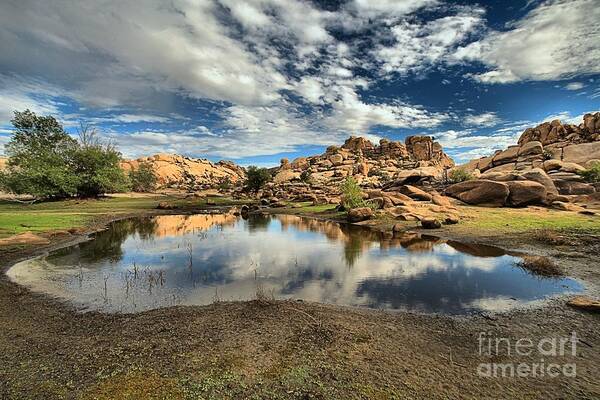 Joshua Tree National Park Art Print featuring the photograph Barker Dam Lake by Adam Jewell