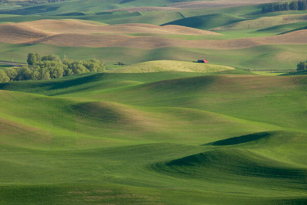 Palouse Art Print featuring the photograph Barn Among the Contours by Mary Lee Dereske