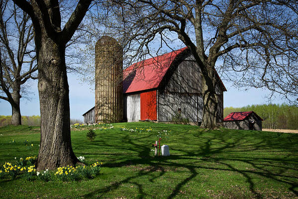 Barn Art Print featuring the photograph Barn with Silo in Springtime by Mary Lee Dereske