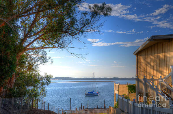 Morro Bay Art Print featuring the photograph Bay View Day by Mathias 