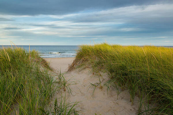 Beach Art Print featuring the photograph Beach by Bill Wakeley