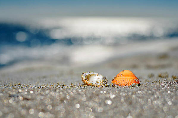 Beach Art Print featuring the photograph Beach Lovers by Laura Fasulo