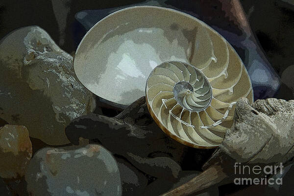 Beach Art Print featuring the photograph Beach Treasures by Jeanette French