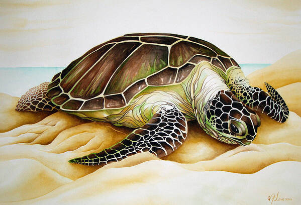 Loggerhead Art Print featuring the painting Beached by William Love