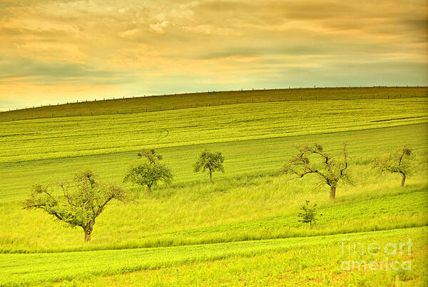 Green Art Print featuring the photograph Beautiful landscape in the spring by Gina Koch