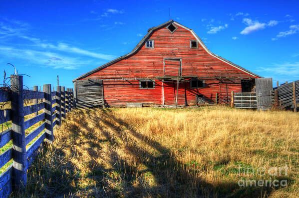 Barn Art Print featuring the photograph Beauty Of Barns 8 by Bob Christopher