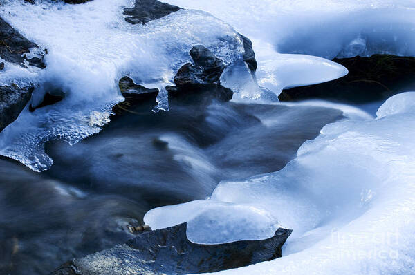 Ice Art Print featuring the photograph Beauty Of Winter Ice Canada 18 by Bob Christopher