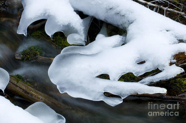 Ice Art Print featuring the photograph Beauty Of Winter Ice Canada 23 by Bob Christopher