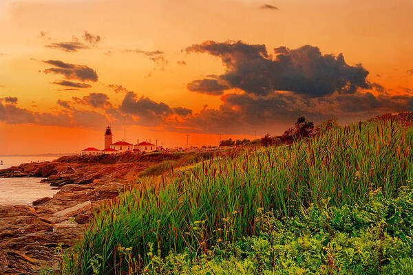 Rhode Island Art Print featuring the photograph Beavertail Spectacular- Beavertail State Park Rhode Island by Lourry Legarde