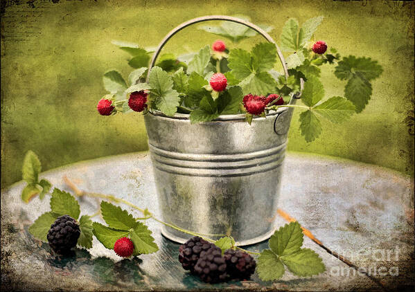 Still Life Art Print featuring the photograph Berries by Darren Fisher