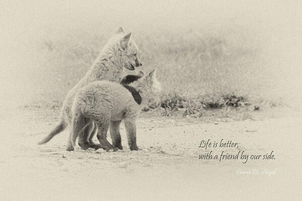 Fox Art Print featuring the photograph Best Friends by Everet Regal